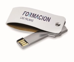 USB personalizado con funda lincol